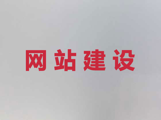 临安网站开发建设